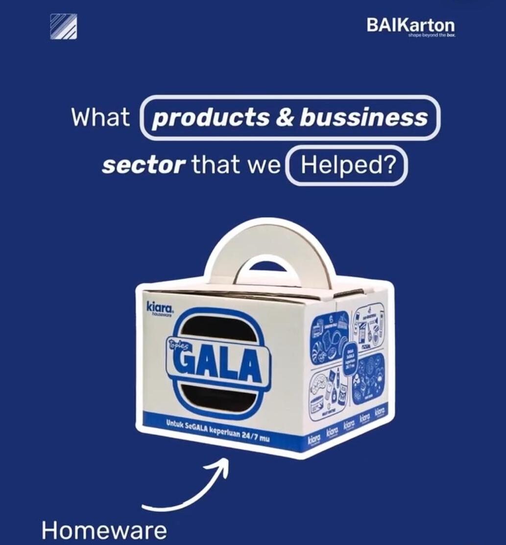 BAIKarton Instagram Post 4